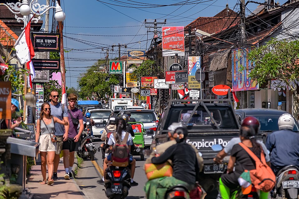 Ubud (49818456887)